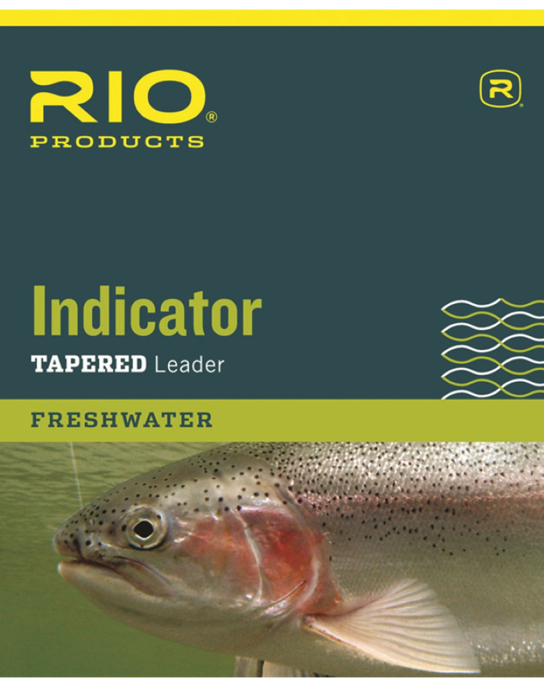 Rio Indicator Leaders